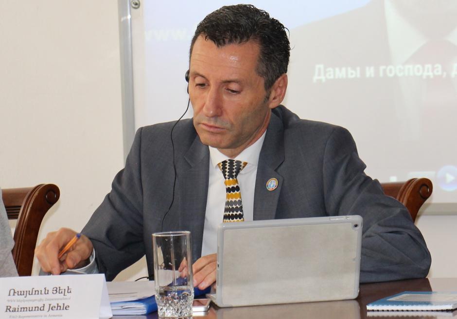 FAO Armenia Rep and Deputy Minister of Economy Discuss FAO Priorities During COVID-19 Crisis