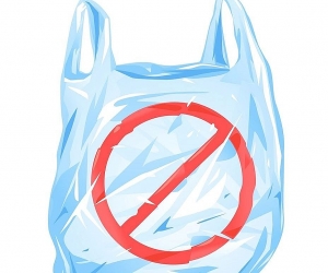 Armenian Parliament Gives Final Approval to Bill Banning Single-Use Plastic Bags