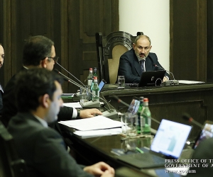 Վարչապետ. «Հակաճգնաժամային անելիքների համատեքստում շատ կարևորում ենք գյուղատնտեսության ոլորտը»