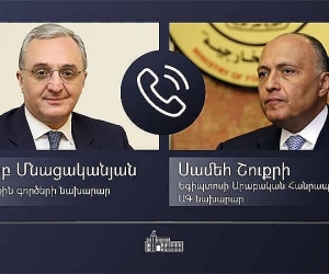 Armenian, Egyptian Foreign Ministers Discuss Coronavirus Challenges