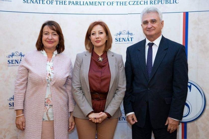Czech Senate Adopts Resolution Condemning 1915 Armenian Genocide