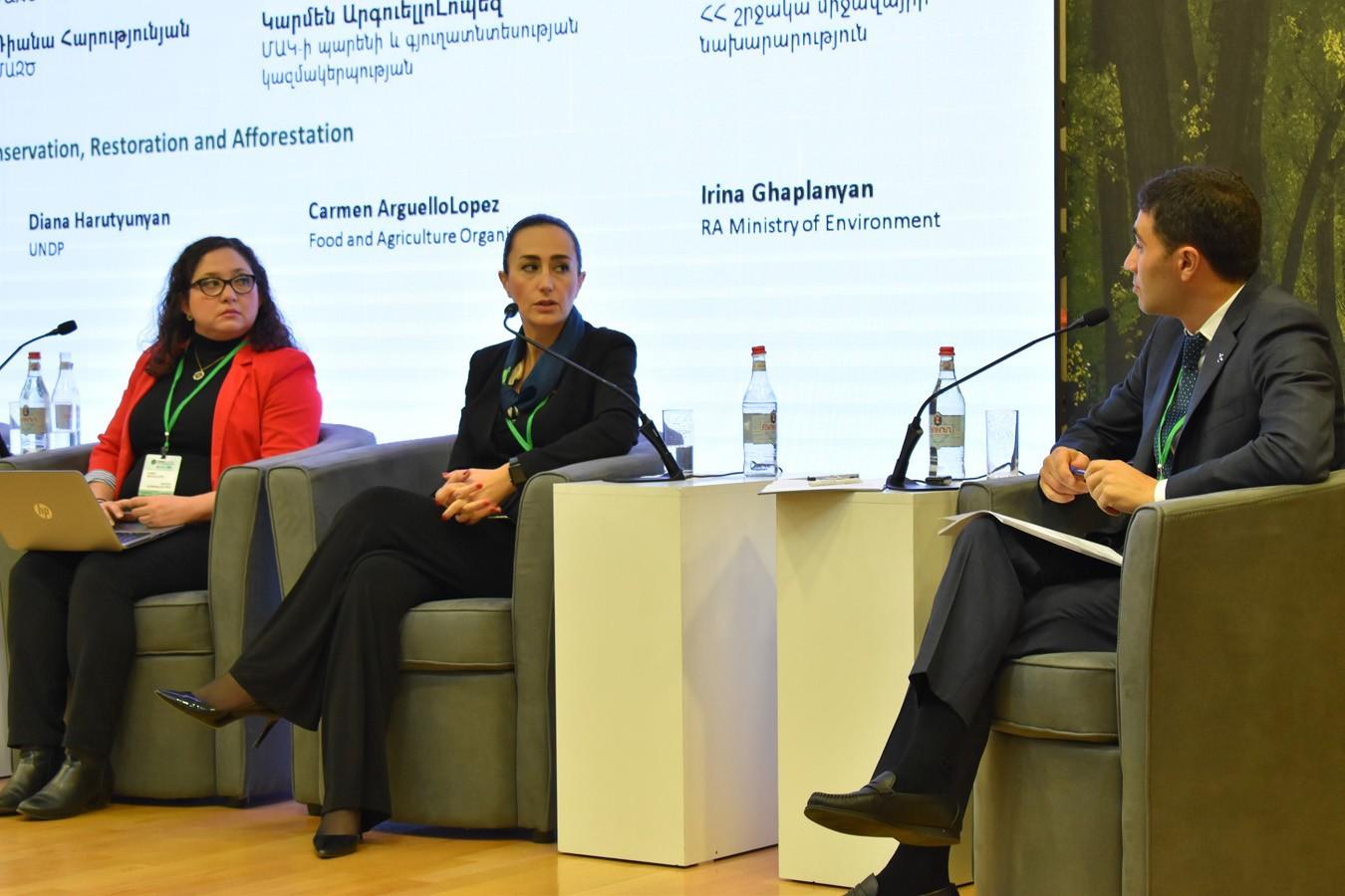 Փորձագետները քննարկում են անտառների պահպանման, վերականգնման և անտառապատման լայնածավալ ֆինանսավորման ռազմավարություններ 