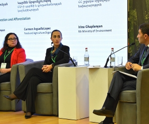 Experts Discuss Strategies for Accessing Large-Scale Funding for Forest Conservation, Restoration, and Afforestation
