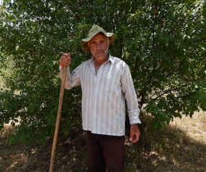 Lori Farmer Samvel Siradeghyan: Government Must Focus on Agriculture Since Pandemic Has Closed Border with Georgia