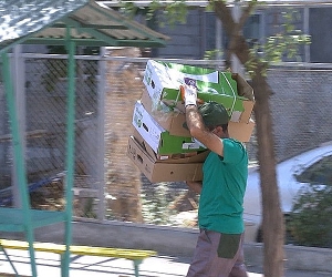 Yerevan: Project to Sort and Collect Commercial Cardboard in Full Swing