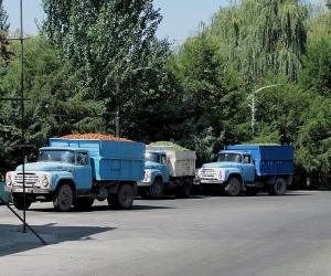 Խաղողի բերքն առատ է, բայց մթերողները ֆինանսական դժվարություններ ունեն
