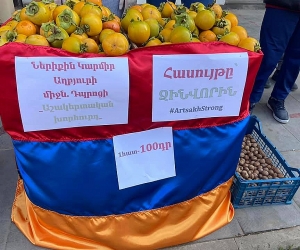 Один королёк – за 100 драмов: школьники приграничной общины Неркин Кармирахбюр собирают деньги для фонда “Айастан”