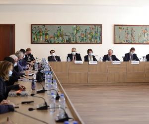 Armenian Foreign Minister Welcomes French MPs to Armenia