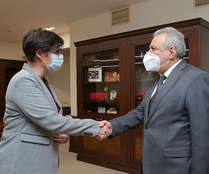 ICRC Armenia Delegation Head and Armenian Defense Minister Discuss Fate of POWs
