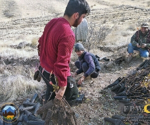 Armenia: 6,000 Trees Planted to Commemorate Fallen Homeland Defenders