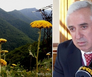 Former Pashinyan Adviser Sets Sights on Syunik Gold Mine Near National Park