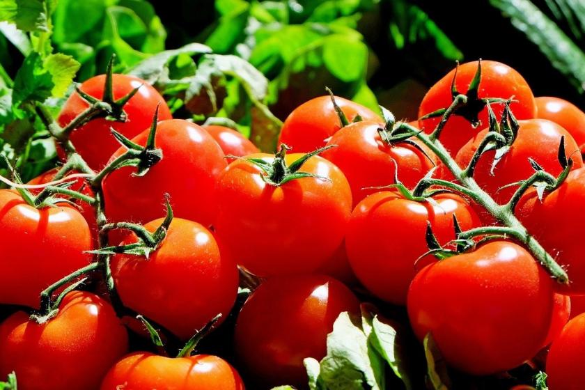ՍԱՏՄ․ փետրվարի 5-ից Ռուսաստանը վերացրել է Հայաստանից լոլիկի և պղպեղի ներկրման սահմանափակումները