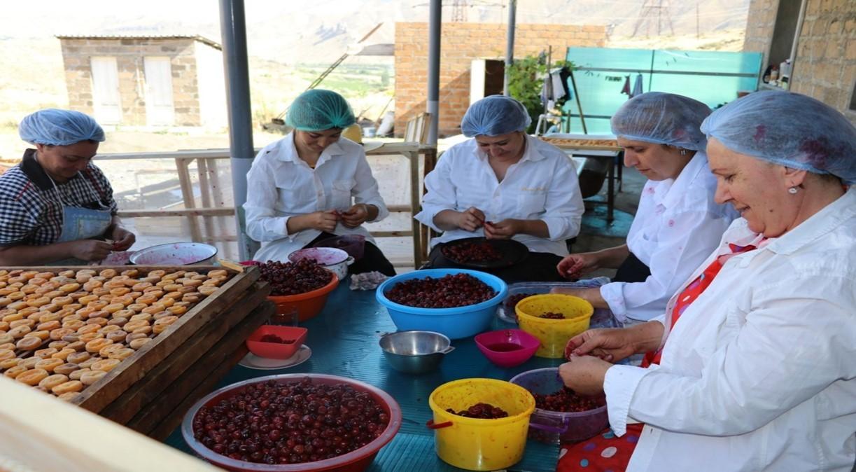 USAID Allocates Addition $2.65 Million to Help Develop Armenia's Agriculture
