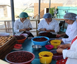 ԱՄՆ ՄԶԳ։ 2,65 մլն դոլար լրացուցիչ ֆինանսավորում՝ գյուղոլորտի զարգացման համար