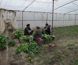 Ֆինանսական դժվարությունները հաղթահարված չեն. մեծ թվով ժամկետանց վարկեր են գոյացել 