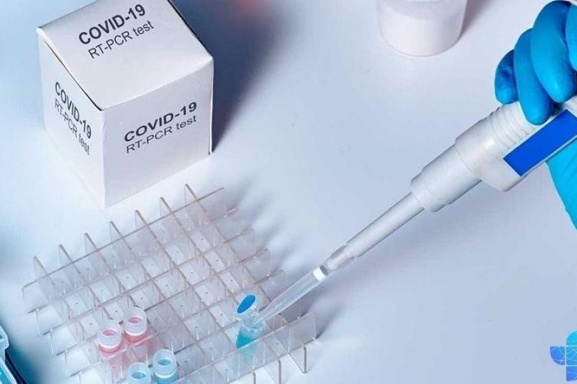 595 новых заболевших Covid-19. Умерли 18 человек