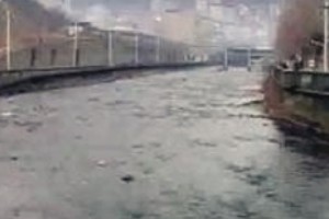ՀԿ-ն բնապահպանության նախարարությանը մեղադրում է անգործության մեջ