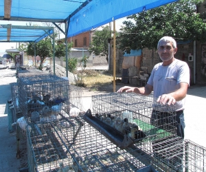 «Ով հասնում ա պաշտոնի, մոռանում ա, թե ինչի համար ա գնացել». Կամո Սարգսյան