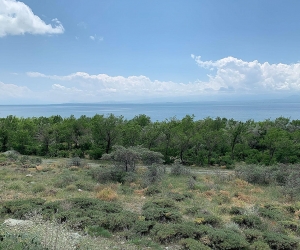 «Սեքյուրիթի դրիմ»-ի սեփականատերերի ու գործընկերների նախագծերը դրական եզրակացություն են ստացել