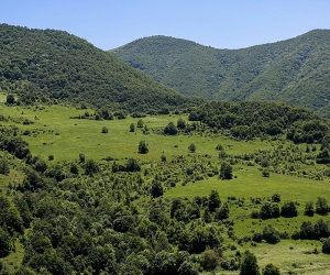 ԲՀՀ-ի հայաստանյան մասնաճյուղը Պարենի և գյուղատնտեսության կազմակերպության հետ 200 000 ԱՄՆ դոլարի համաֆինանսավորման համաձայնագիր է կնքել