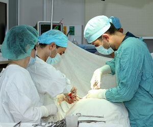 Physicians on the Karabakh Frontline: Saving Lives Amidst the Trauma of War