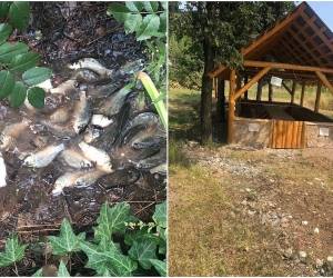 Խախտումեր՝ Իջևանի դենդրոպարկում. հարուցվել է վարչական  վարույթ