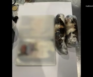 French Citizen Arrested at Zvartnots Airport for Cocaine Smuggling