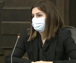 Анаит Аванесян: “Недовольство премьера вполне уместно”