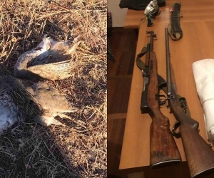 Վայոց Ձորի մարզում բացահայտվել են որսի կանոնների խախտման դեպքեր