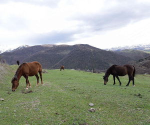 Company Wants to Explore for Gold in Armenia's Lori Province