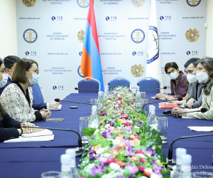 Armenian Human Rights Defender, CoE Yerevan Office Head Discuss Sectoral Programs