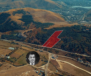 Court Orders Forested Land Returned to State; Cites Hetq Investigation