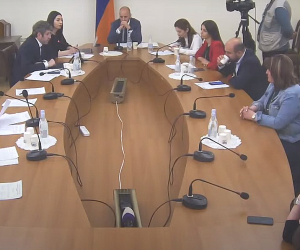 ԱԺ մշտական հանձնաժողովի նիստը՝ ուղիղ հեռարձակմամբ
