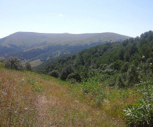Ոսկու որոնումներ՝ Հանքավանի ջրաբանական արգելավայրից 100 մ հեռու