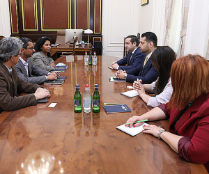Փոխվարչապետ Մաթևոսյանն ընդունել է «Էյ Էմ Դի» ամերիկյան ընկերության կորպորատիվ հարցերով փոխնախագահներին