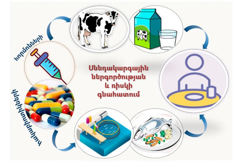 Հայաստանում արտադրված կաթի մեջ հայտնաբերվել են հակաբիոտիկներ, իսկ ձկնամսի մեջ՝ հորմոնների մնացորդային քանակություններ. ԳԱԱ