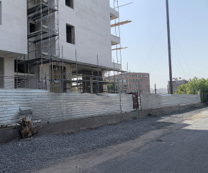 Քաղաքապետարանը, տեսչական մարմինն ու ոստիկանությունը չկարողացան կանխել ծառահատումները․ կառուցապատողը երրորդ ծառը հատեց