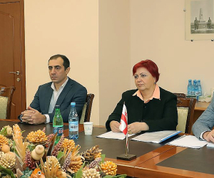 Հայաստան է այցելել Վրաստանի պաշտպանության նախարարության պատվիրակությունը 