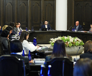 Armenia's Council of Women's Affairs Discusses Equal Rights Issues