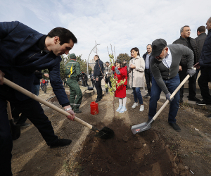 Pashinyans Plant Trees in Yerevan