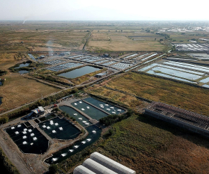 Armenia to Spend $2.1 Million on Crayfish Farming