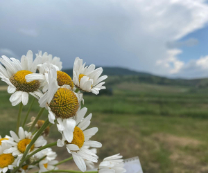 Օդի ջերմաստիճանը Լոռիում, Տավուշում, Սյունիքում և Արցախում կնվազի 2-4 աստիճանով