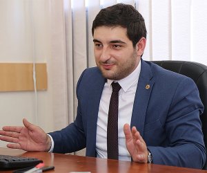 Племянник премьер-министра, в прошлом депутат НС Сипан Пашинян основал в Украине дровяной бизнес