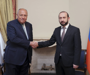 Armenian, Egyptian Foreign Minsters Discuss Steps to Expand Cooperation