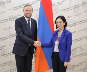 Ժաննա Անդրեասյանը ԵԽ ներկայացուցիչների հետ քննարկել է համագործակցության ծրագրերը