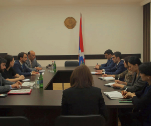 Встреча министра иностранных дел Республики Арцах с мэром Лиона