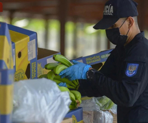 Italian Police Seize $880 Million of Cocaine Destined to Armenia