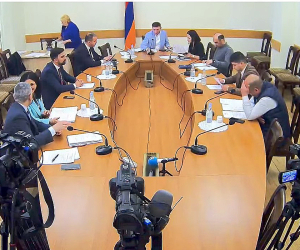 «Մոդելը վերանայելու կարիք կա». արտադրական կանեփի նախագիծը դրական եզրակացություն չստացավ
