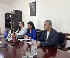 ՀՀ ՄԻՊ-ն ու ԵԽԽՎ իռլանդացի պատգամավորը քննարկել են Լաչինի միջանցքի շրջափակման հետևանքները