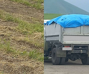 Ծովագյուղից ապօրինի դուրս բերված սևահող է հայտնաբերվել